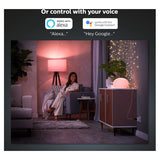Philips HUE Smart Plug