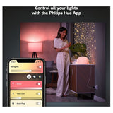 Philips HUE Smart Plug