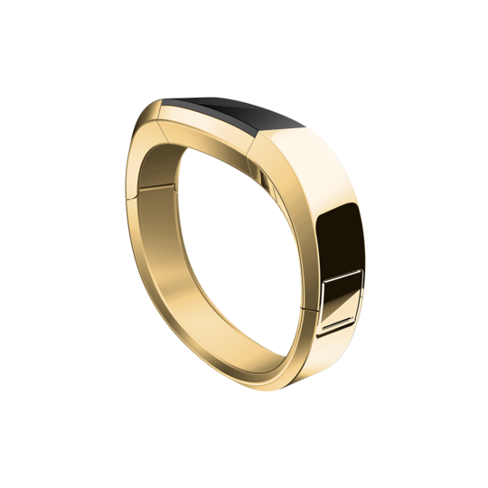Fitbit Alta Gold Stainless Steel Accessory Band