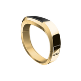 Fitbit Alta Gold Stainless Steel Accessory Band