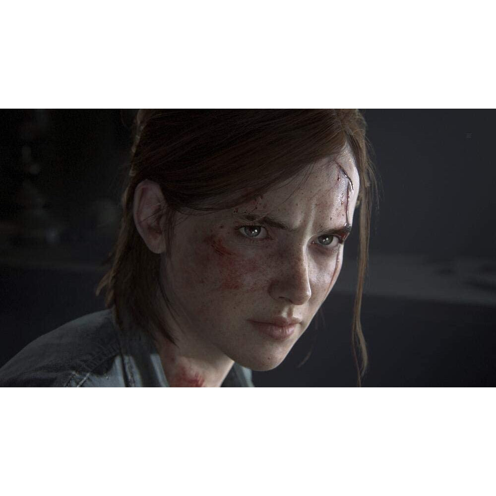 The Last of Us Part 2 II (PS4)